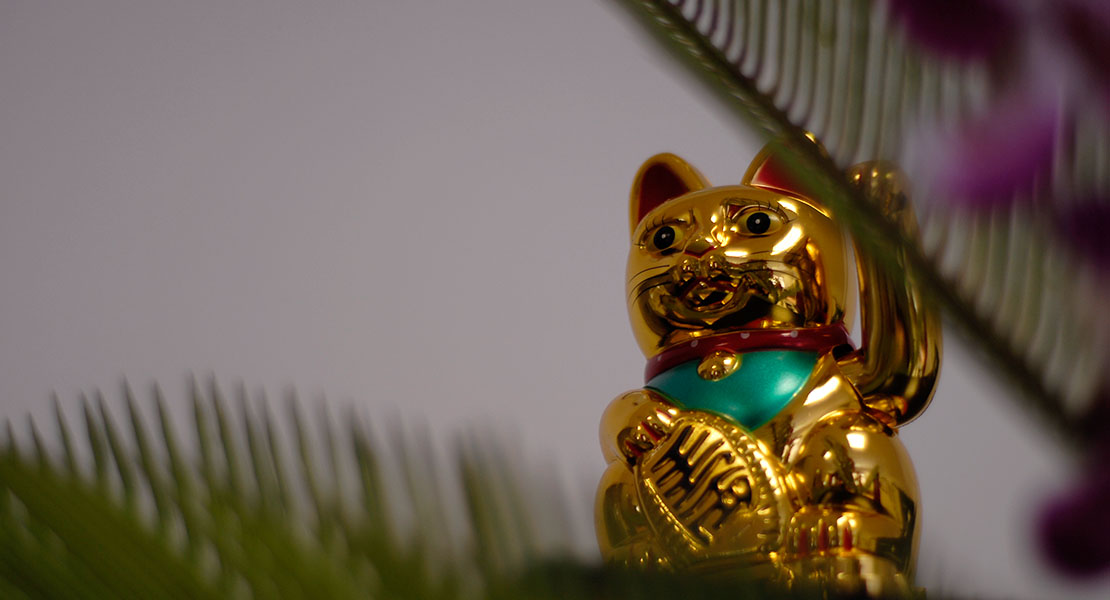 Photo of a Lucky Cat, which welcomes customers at NAOHOA Luxury Bespoke Tattoos, Cardiff, Wales (UK). An Asian touch, gifted by Naomi Hoang's parents to wish her good luck in her business.