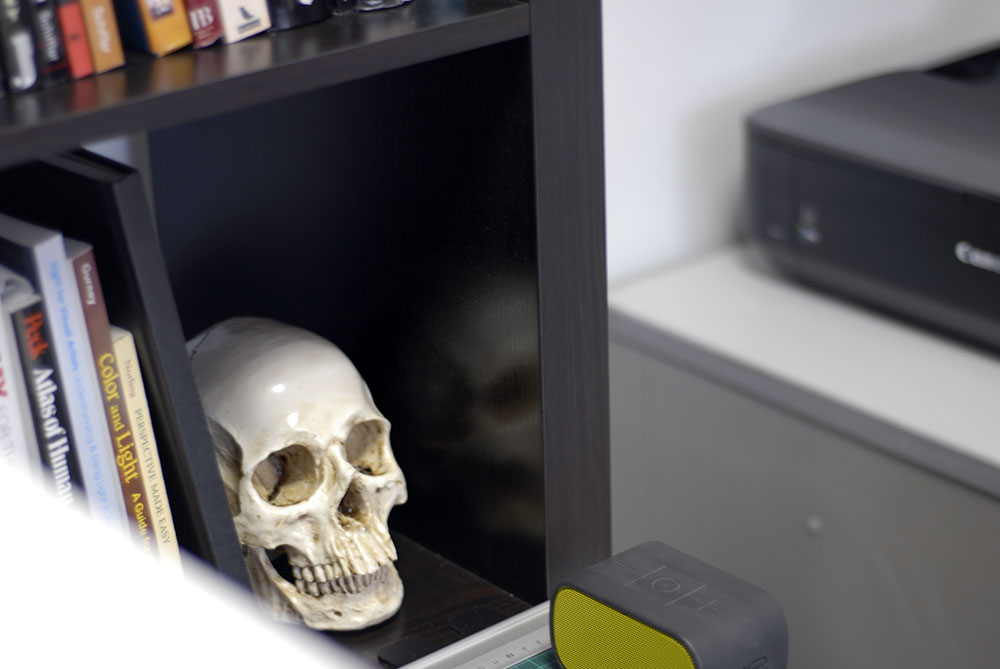 Resin human skull on a bookshelf